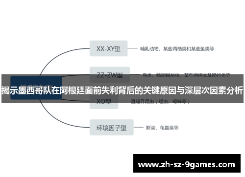 揭示墨西哥队在阿根廷面前失利背后的关键原因与深层次因素分析